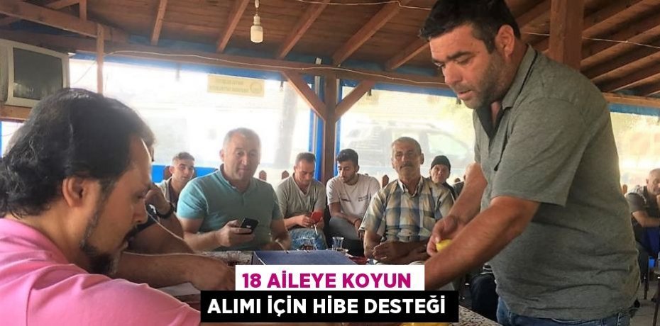18 AİLEYE KOYUN ALIMI İÇİN HİBE DESTEĞİ