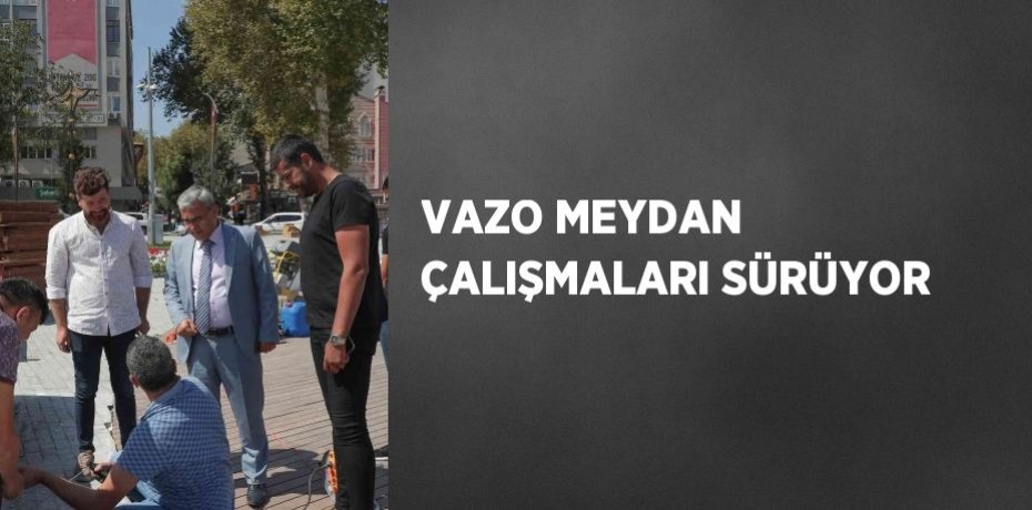 VAZO MEYDAN ÇALIŞMALARI SÜRÜYOR