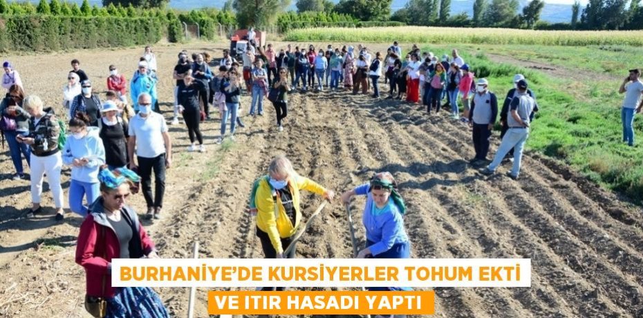 BURHANİYE’DE KURSİYERLER TOHUM EKTİ VE ITIR HASADI YAPTI