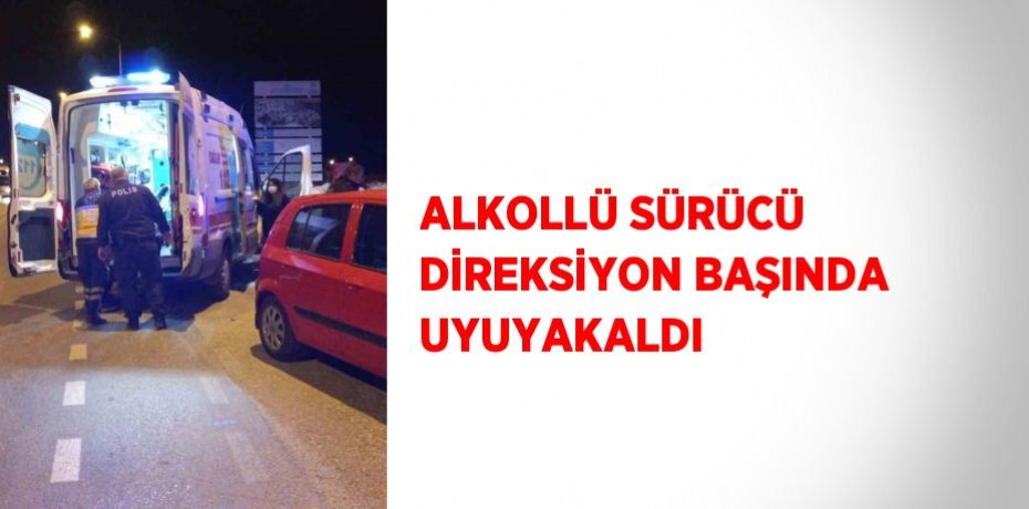 ALKOLLÜ SÜRÜCÜ DİREKSİYON BAŞINDA UYUYAKALDI