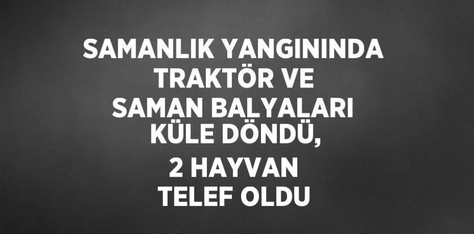 SAMANLIK YANGININDA TRAKTÖR VE SAMAN BALYALARI KÜLE DÖNDÜ, 2 HAYVAN TELEF OLDU