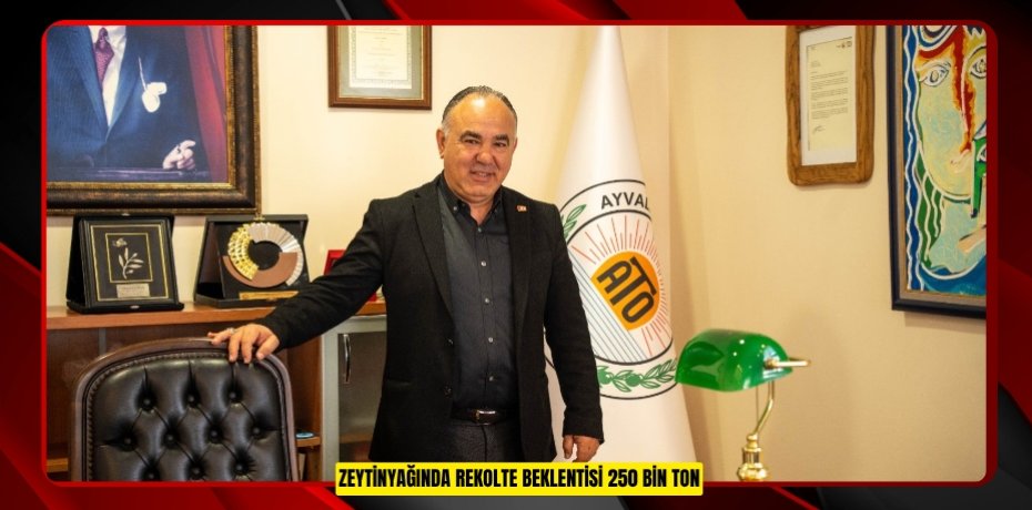 Zeytinyağında rekolte beklentisi 250 bin ton