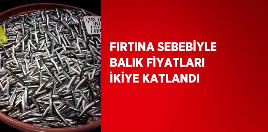 FIRTINA SEBEBİYLE BALIK FİYATLARI İKİYE KATLANDI