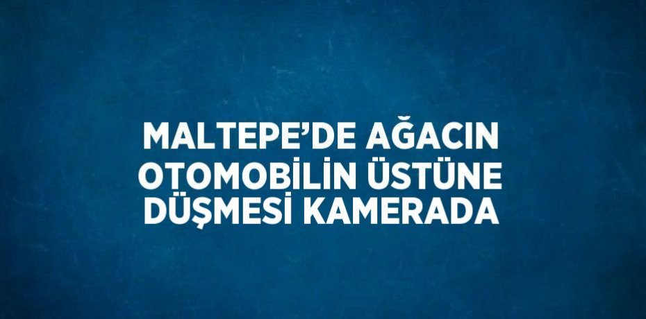 MALTEPE’DE AĞACIN OTOMOBİLİN ÜSTÜNE DÜŞMESİ KAMERADA