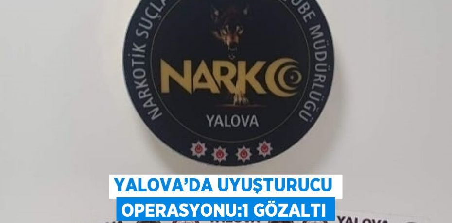 YALOVA’DA UYUŞTURUCU OPERASYONU:1 GÖZALTI
