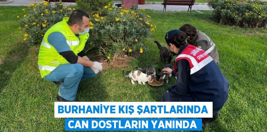 BURHANİYE KIŞ ŞARTLARINDA CAN DOSTLARIN YANINDA
