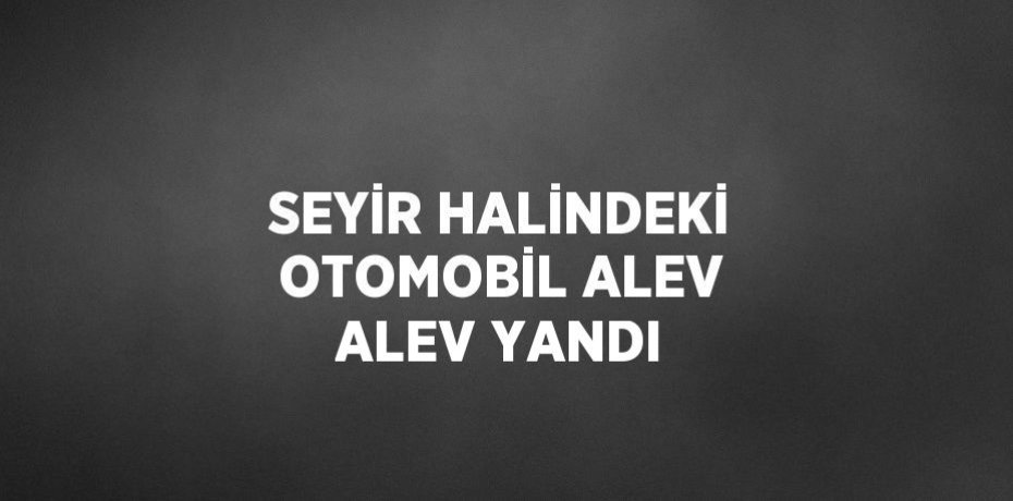 SEYİR HALİNDEKİ OTOMOBİL ALEV ALEV YANDI