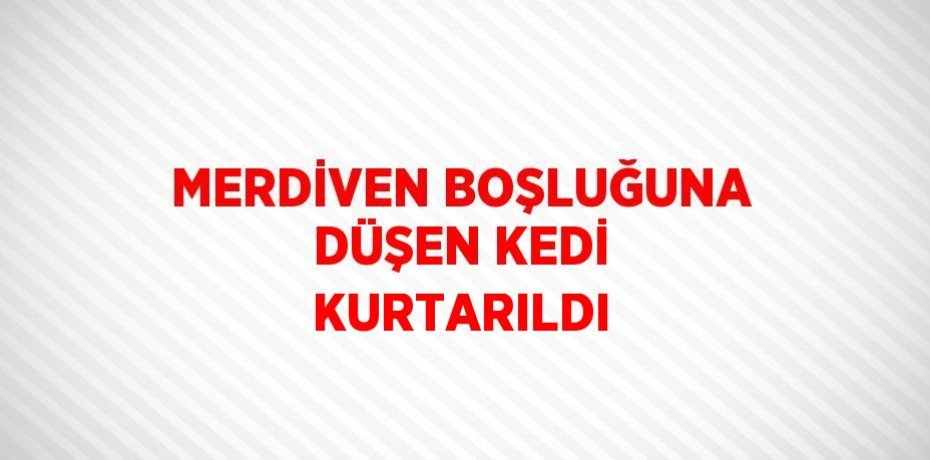 MERDİVEN BOŞLUĞUNA DÜŞEN KEDİ KURTARILDI