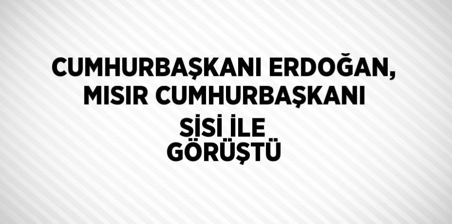 CUMHURBAŞKANI ERDOĞAN, MISIR CUMHURBAŞKANI SİSİ İLE GÖRÜŞTÜ