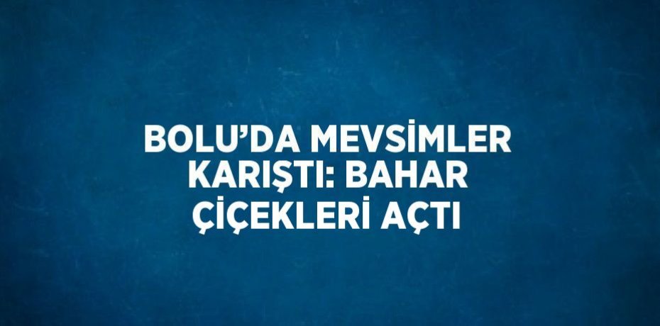 BOLU’DA MEVSİMLER KARIŞTI: BAHAR ÇİÇEKLERİ AÇTI