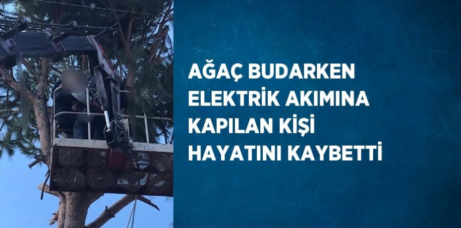 AĞAÇ BUDARKEN ELEKTRİK AKIMINA KAPILAN KİŞİ HAYATINI KAYBETTİ