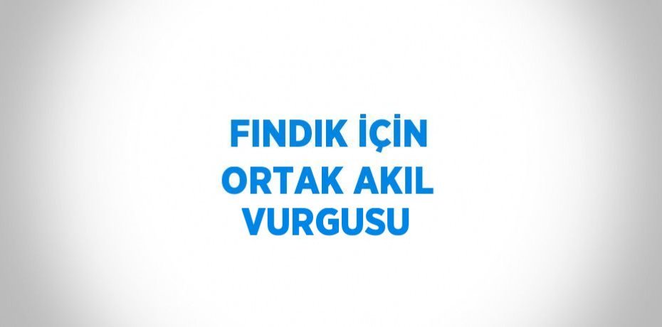 FINDIK İÇİN ORTAK AKIL VURGUSU