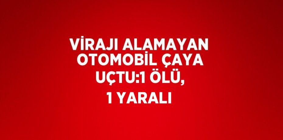VİRAJI ALAMAYAN OTOMOBİL ÇAYA UÇTU:1 ÖLÜ, 1 YARALI