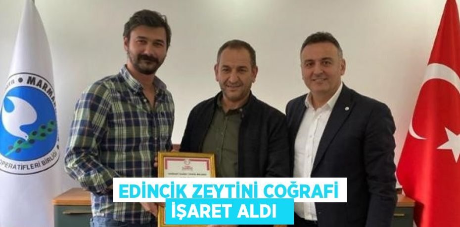 Edincik zeytini coğrafi işaret aldı  