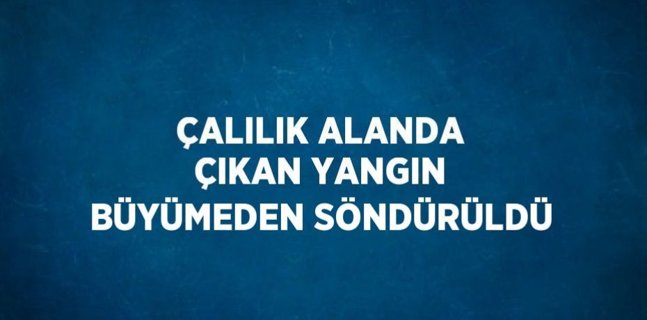 ÇALILIK ALANDA ÇIKAN YANGIN BÜYÜMEDEN SÖNDÜRÜLDÜ