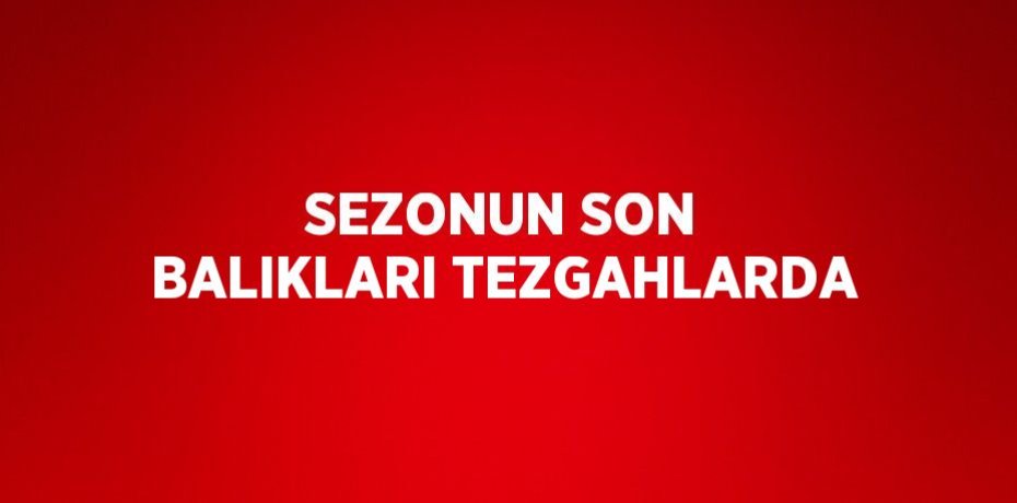 SEZONUN SON BALIKLARI TEZGAHLARDA