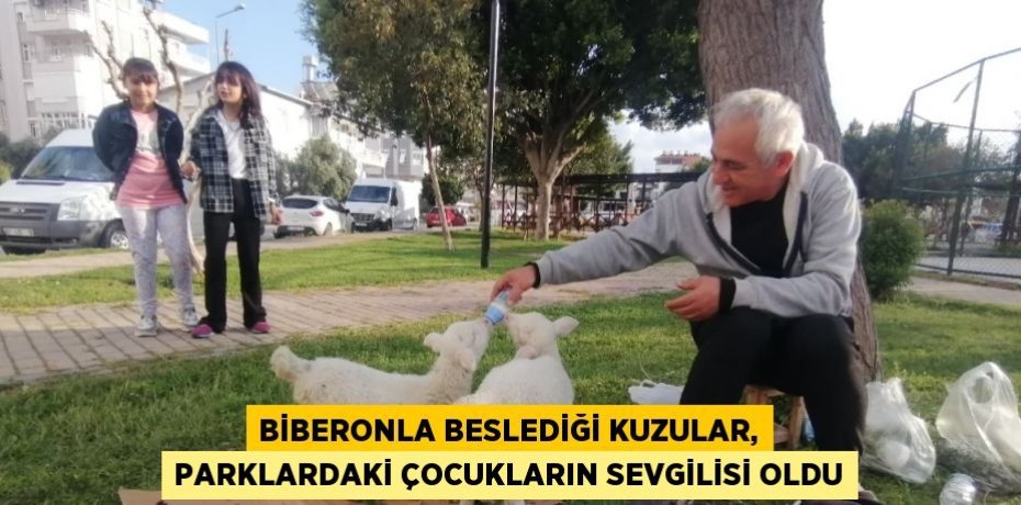 BİBERONLA BESLEDİĞİ KUZULAR, PARKLARDAKİ ÇOCUKLARIN SEVGİLİSİ OLDU