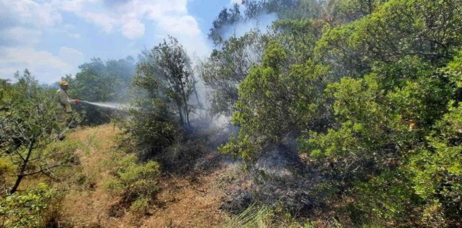 MANİSA’DA ÇIKAN ORMAN YANGININDA 1 HEKTAR ALAN ZARAR GÖRDÜ