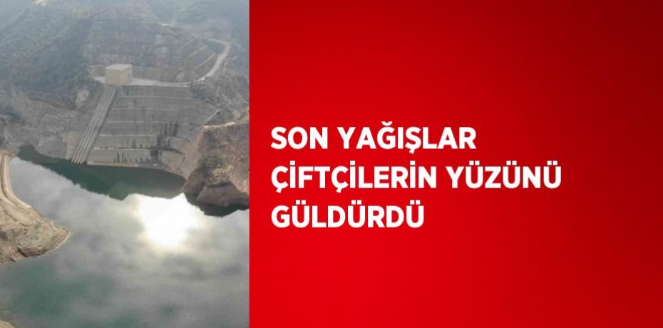 SON YAĞIŞLAR ÇİFTÇİLERİN YÜZÜNÜ GÜLDÜRDÜ