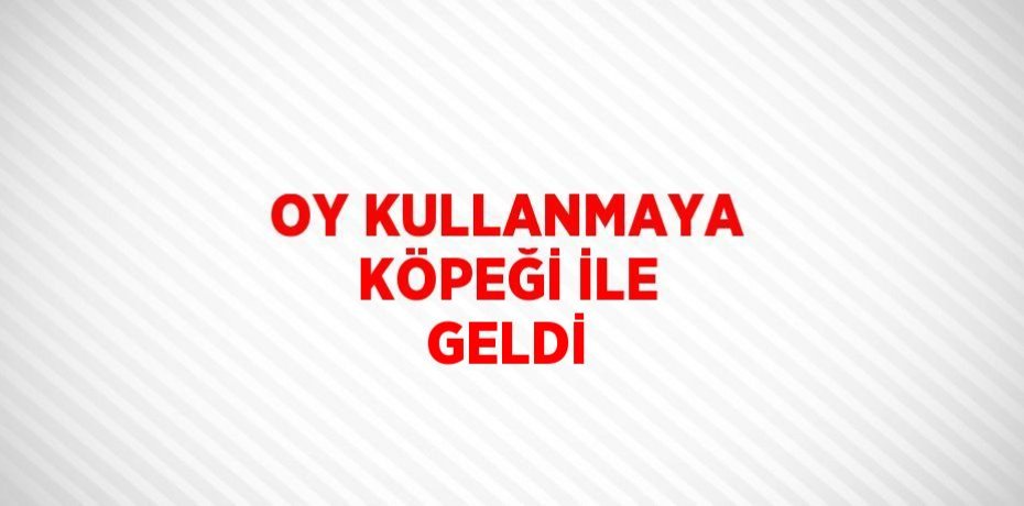 OY KULLANMAYA KÖPEĞİ İLE GELDİ