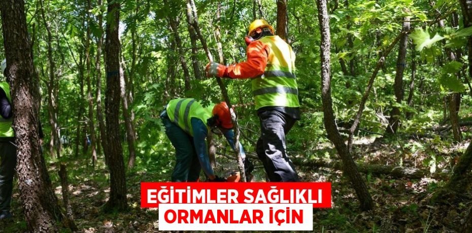 Eğitimler sağlıklı ormanlar için