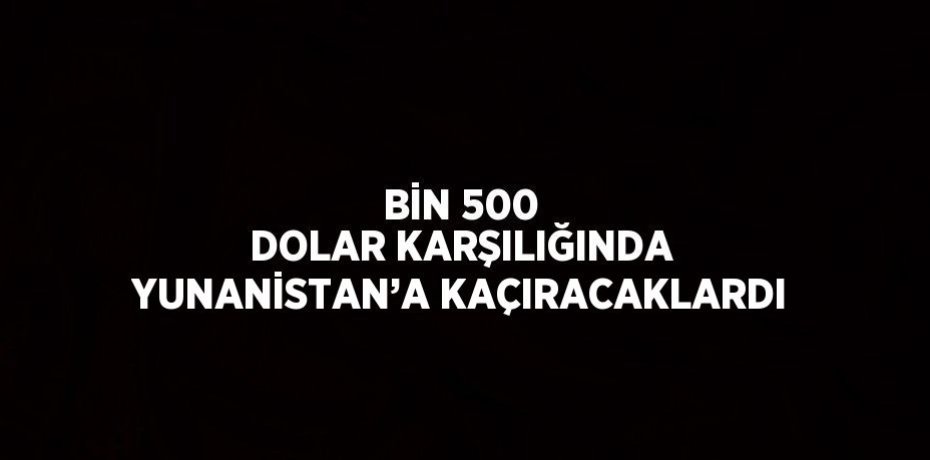 BİN 500 DOLAR KARŞILIĞINDA YUNANİSTAN’A KAÇIRACAKLARDI