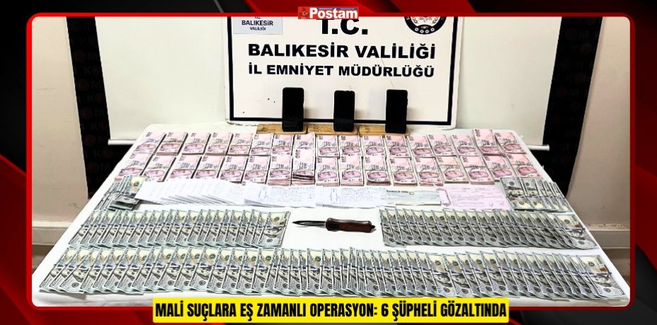 MALİ SUÇLARA EŞ ZAMANLI OPERASYON: 6 ŞÜPHELİ GÖZALTINDA