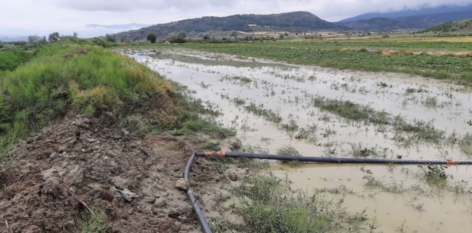 Sağanak yağış ve dolu tarım arazilerini vurdu