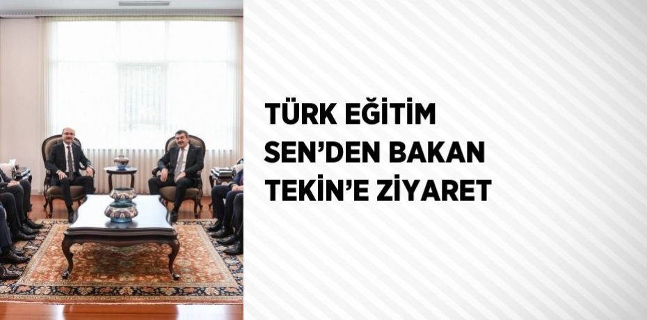 TÜRK EĞİTİM SEN’DEN BAKAN TEKİN’E ZİYARET