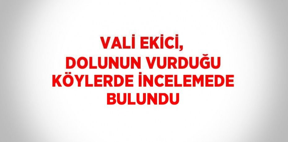 VALİ EKİCİ, DOLUNUN VURDUĞU KÖYLERDE İNCELEMEDE BULUNDU