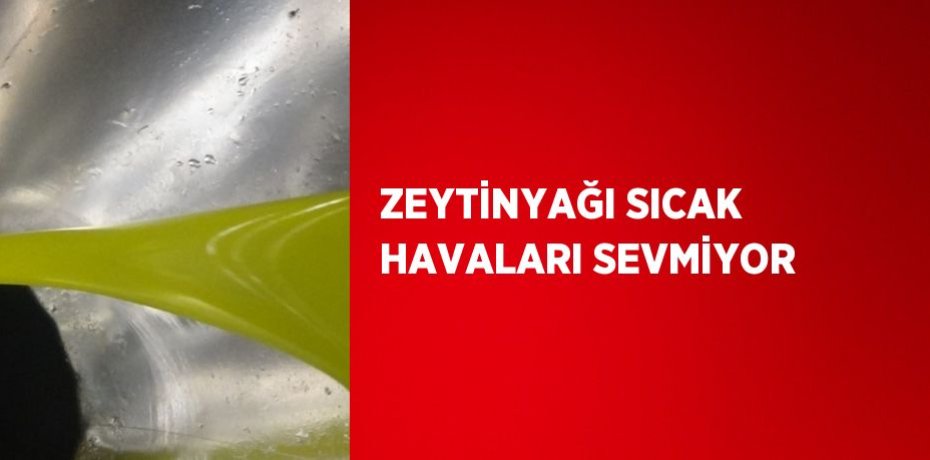 ZEYTİNYAĞI SICAK HAVALARI SEVMİYOR