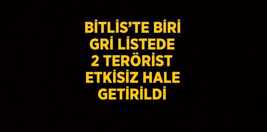 BİTLİS’TE BİRİ GRİ LİSTEDE 2 TERÖRİST ETKİSİZ HALE GETİRİLDİ