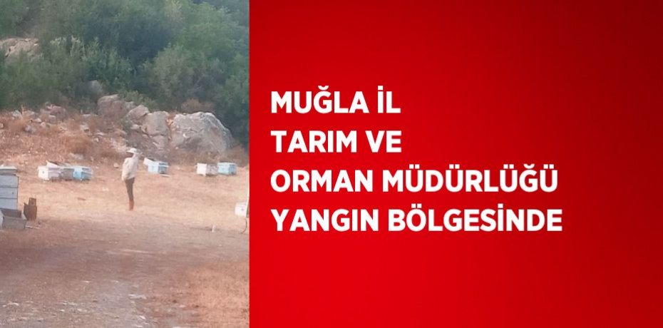 MUĞLA İL TARIM VE ORMAN MÜDÜRLÜĞÜ YANGIN BÖLGESİNDE