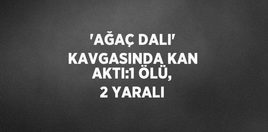 'AĞAÇ DALI' KAVGASINDA KAN AKTI:1 ÖLÜ, 2 YARALI