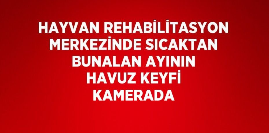 HAYVAN REHABİLİTASYON MERKEZİNDE SICAKTAN BUNALAN AYININ HAVUZ KEYFİ KAMERADA