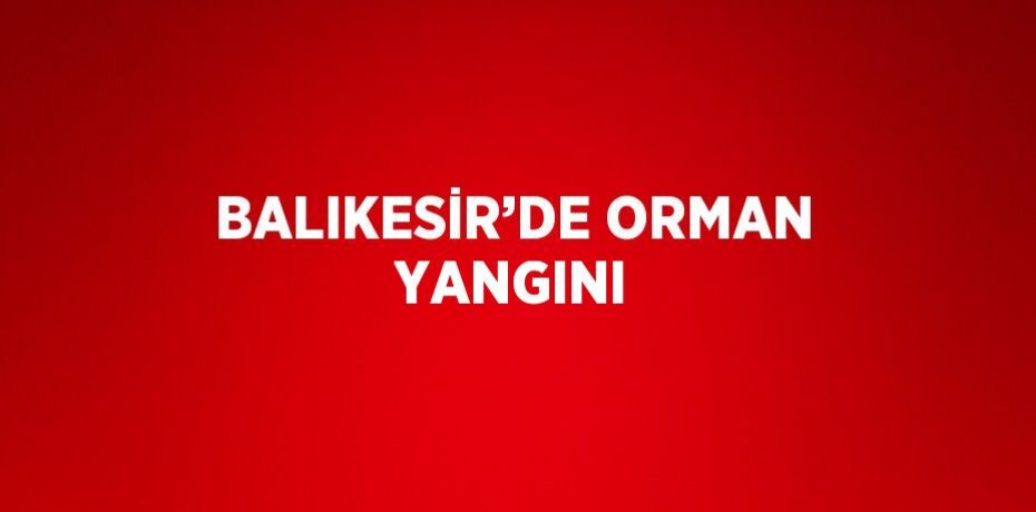 BALIKESİR’DE ORMAN YANGINI