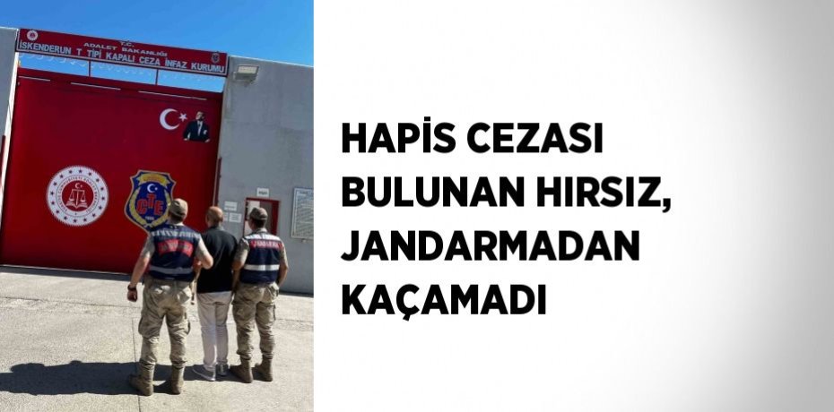 HAPİS CEZASI BULUNAN HIRSIZ, JANDARMADAN KAÇAMADI