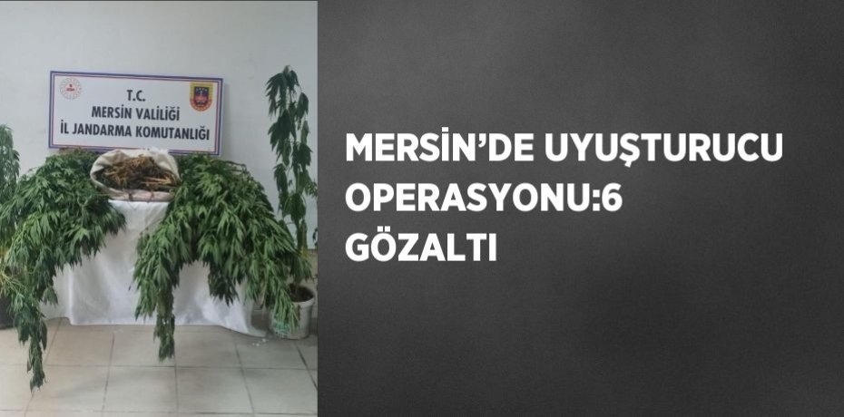 MERSİN’DE UYUŞTURUCU OPERASYONU:6 GÖZALTI