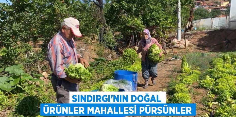 SINDIRGI’NIN DOĞAL ÜRÜNLER MAHALLESİ PÜRSÜNLER