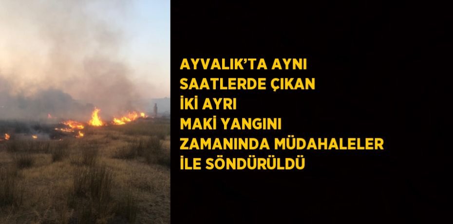 AYVALIK’TA AYNI SAATLERDE ÇIKAN İKİ AYRI MAKİ YANGINI ZAMANINDA MÜDAHALELER İLE SÖNDÜRÜLDÜ