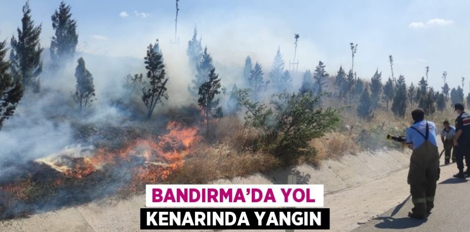 BANDIRMA’DA YOL KENARINDA YANGIN