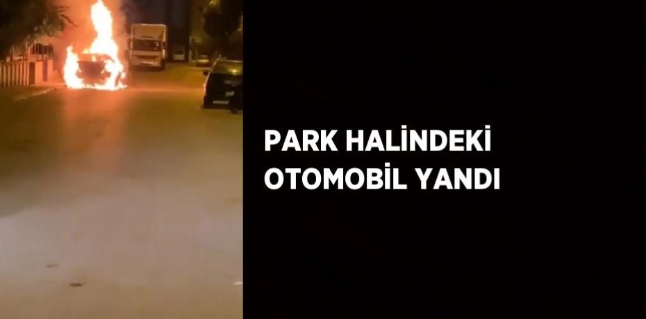 PARK HALİNDEKİ OTOMOBİL YANDI