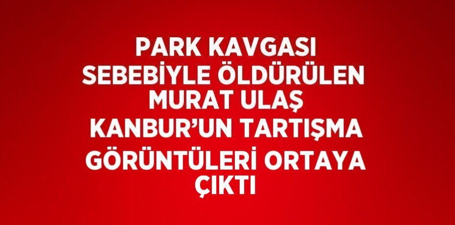 PARK KAVGASI SEBEBİYLE ÖLDÜRÜLEN MURAT ULAŞ KANBUR’UN TARTIŞMA GÖRÜNTÜLERİ ORTAYA ÇIKTI