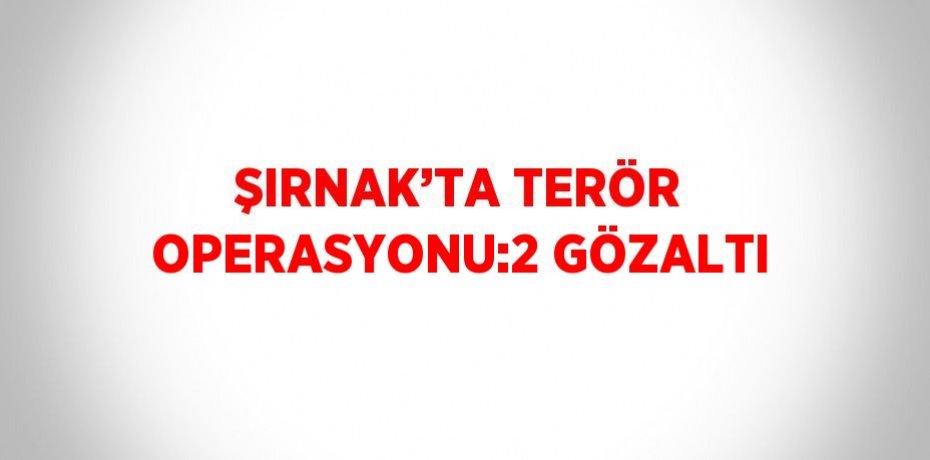 ŞIRNAK’TA TERÖR OPERASYONU:2 GÖZALTI