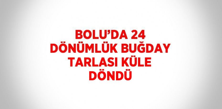 BOLU’DA 24 DÖNÜMLÜK BUĞDAY TARLASI KÜLE DÖNDÜ