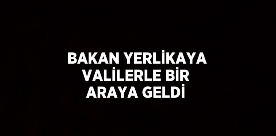 BAKAN YERLİKAYA VALİLERLE BİR ARAYA GELDİ