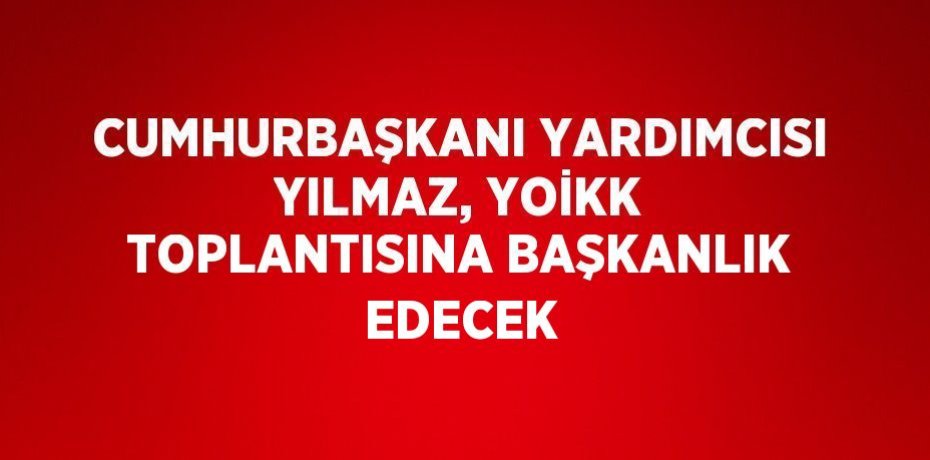 CUMHURBAŞKANI YARDIMCISI YILMAZ, YOİKK TOPLANTISINA BAŞKANLIK EDECEK