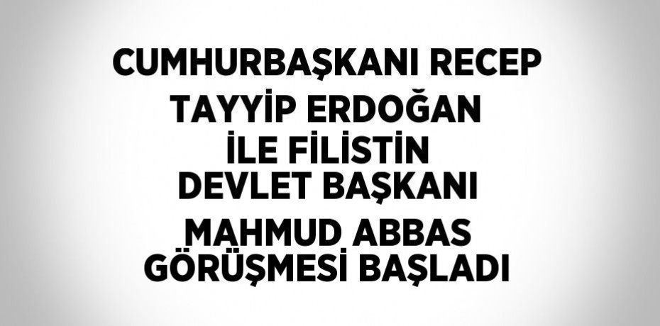 CUMHURBAŞKANI RECEP TAYYİP ERDOĞAN İLE FİLİSTİN DEVLET BAŞKANI MAHMUD ABBAS GÖRÜŞMESİ BAŞLADI