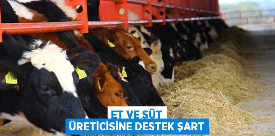ET VE SÜT ÜRETİCİSİNE DESTEK ŞART