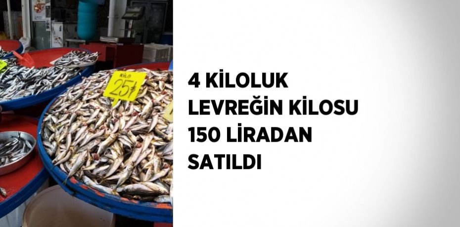 4 KİLOLUK LEVREĞİN KİLOSU 150 LİRADAN SATILDI